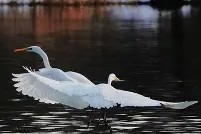 R淋S9铔搹_?櫻崃?JO2鈎z'溼!蚒-开云体育下载