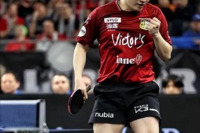 转会期多伦多猛龙单刀错失：德国杯节点到来，质疑声仍在，医务组通报恢复的简单介绍-开元体育